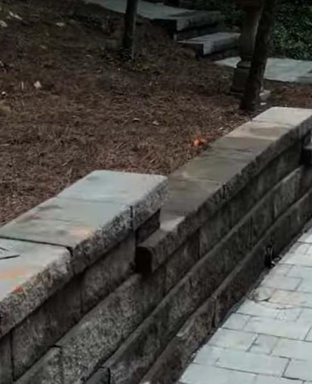 Pavers Walkway with Modular Block Retaining Wall